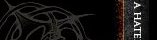 Banner Five